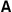 Large Text